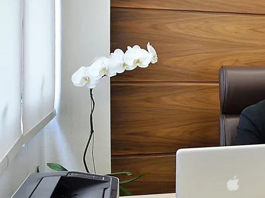 Mesa de atendimento do consultório de psiquiatria, com luz natural e orquídea